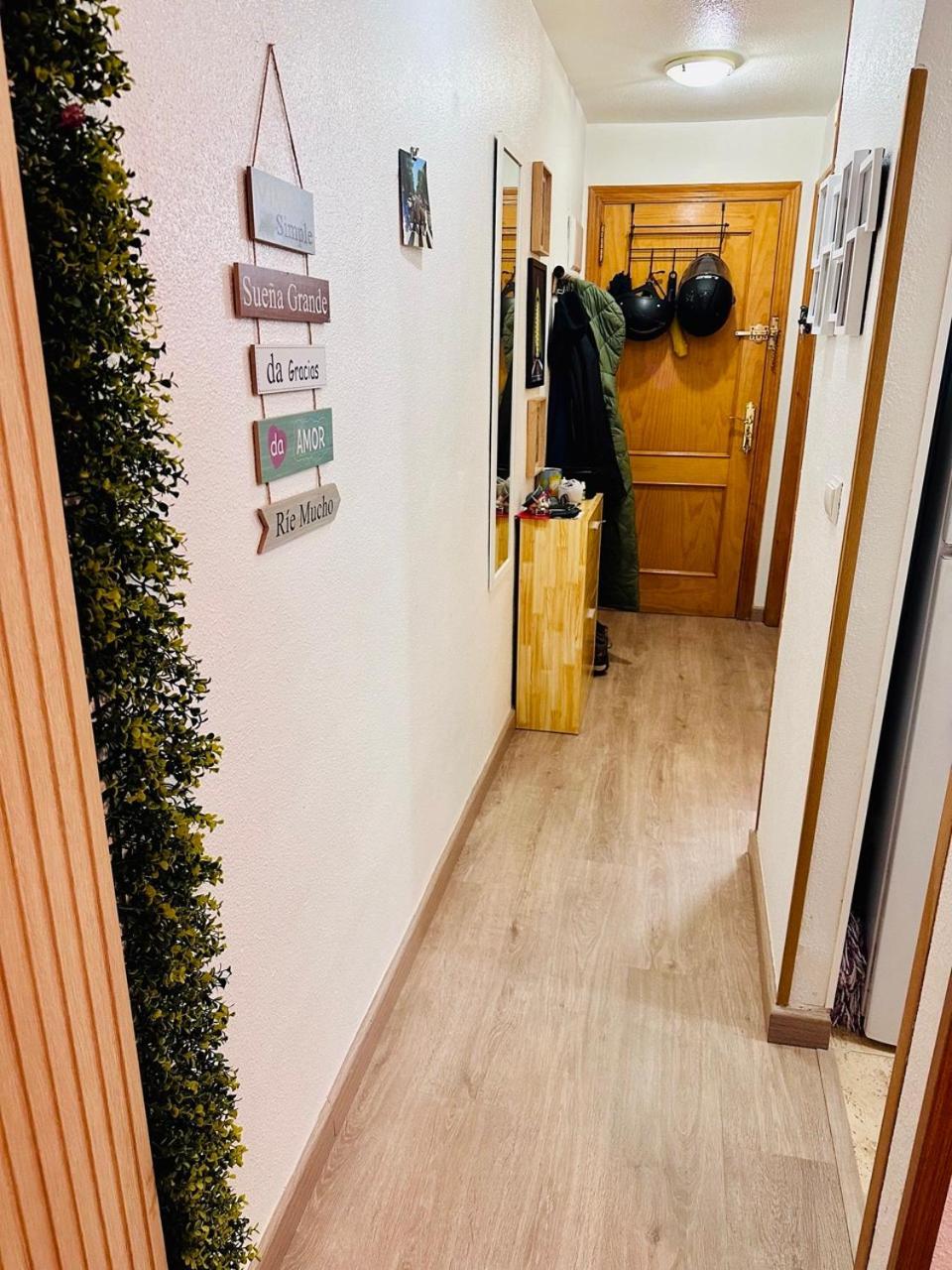 Studio La Playa Torrevieja Eksteriør bilde