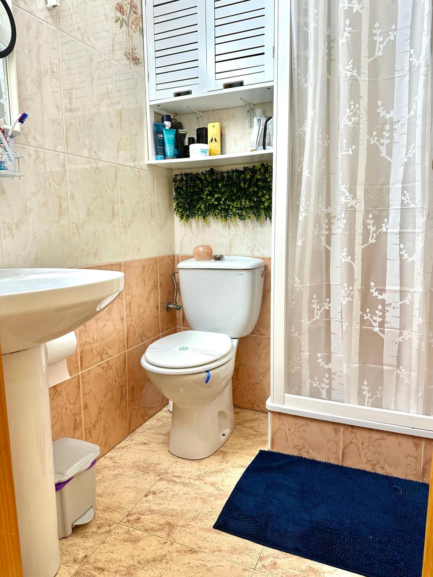 Studio La Playa Torrevieja Eksteriør bilde